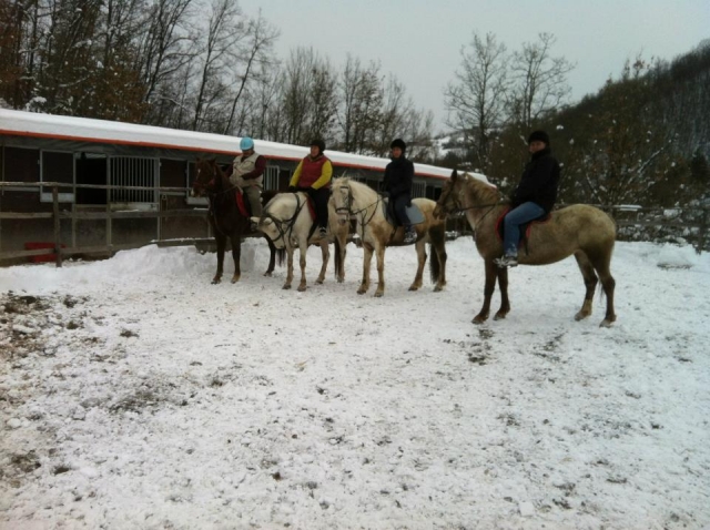  Caminamarras invernales 